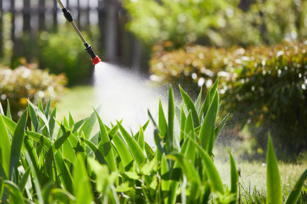 24/7 Emergency Mosquito Control experts in Hephzibah, GA