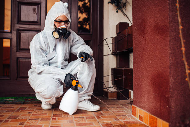 Reliable Mosquito Control contractor in Hephzibah, GA by Show Me Pest Control